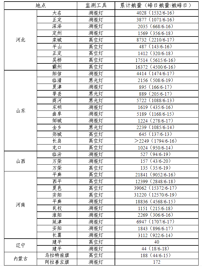 黃淮華北出現(xiàn)棉鈴蟲(chóng)遷飛高峰 警惕玉米大豆多作物集中危害